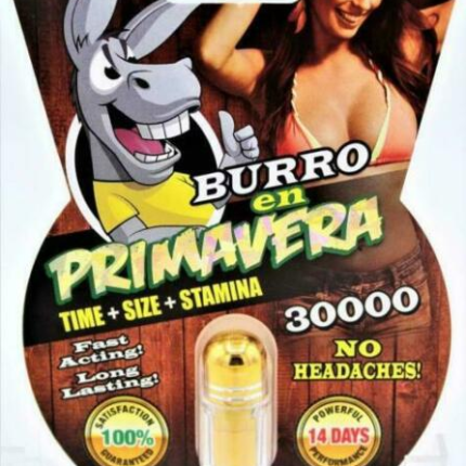 Burro en Primavera, 30000